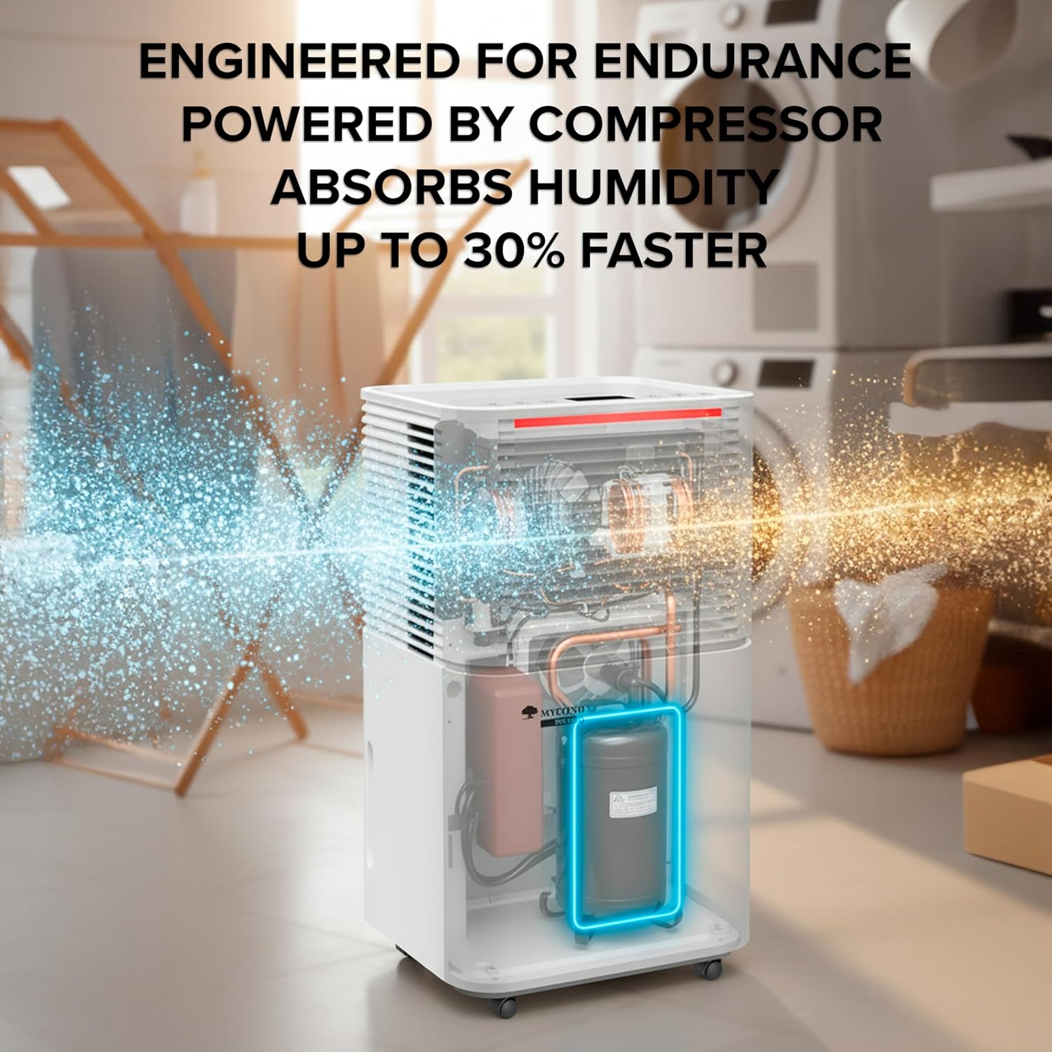 Dehumidifier for home - MYCOND TIBO 10L/Day Compressor Small Dehumidifier, Quiet Operation ≤38dB