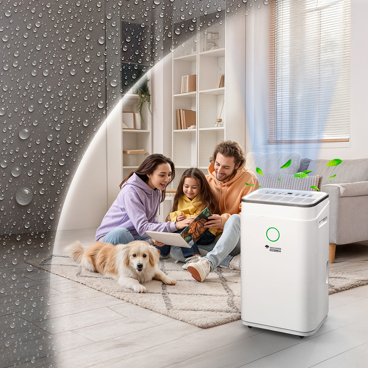 Mycond Roomer Smart 25